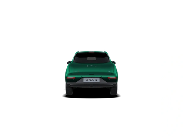 2026 Great Wall Ora Green Hatch Automatic